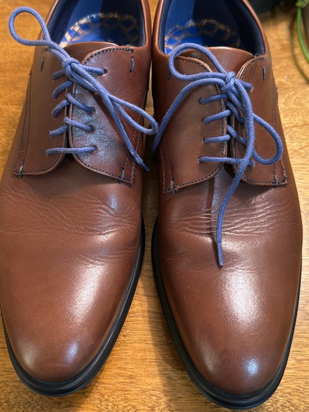 Ted Baker Brown Leather Derbys with Blue Detailing